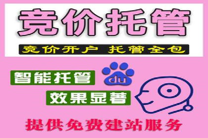 抖音信息流代理服务在旅游行业的应用实例